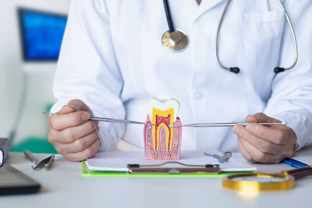 Best Emergency Pediatric Dental Care in Richnd, MO